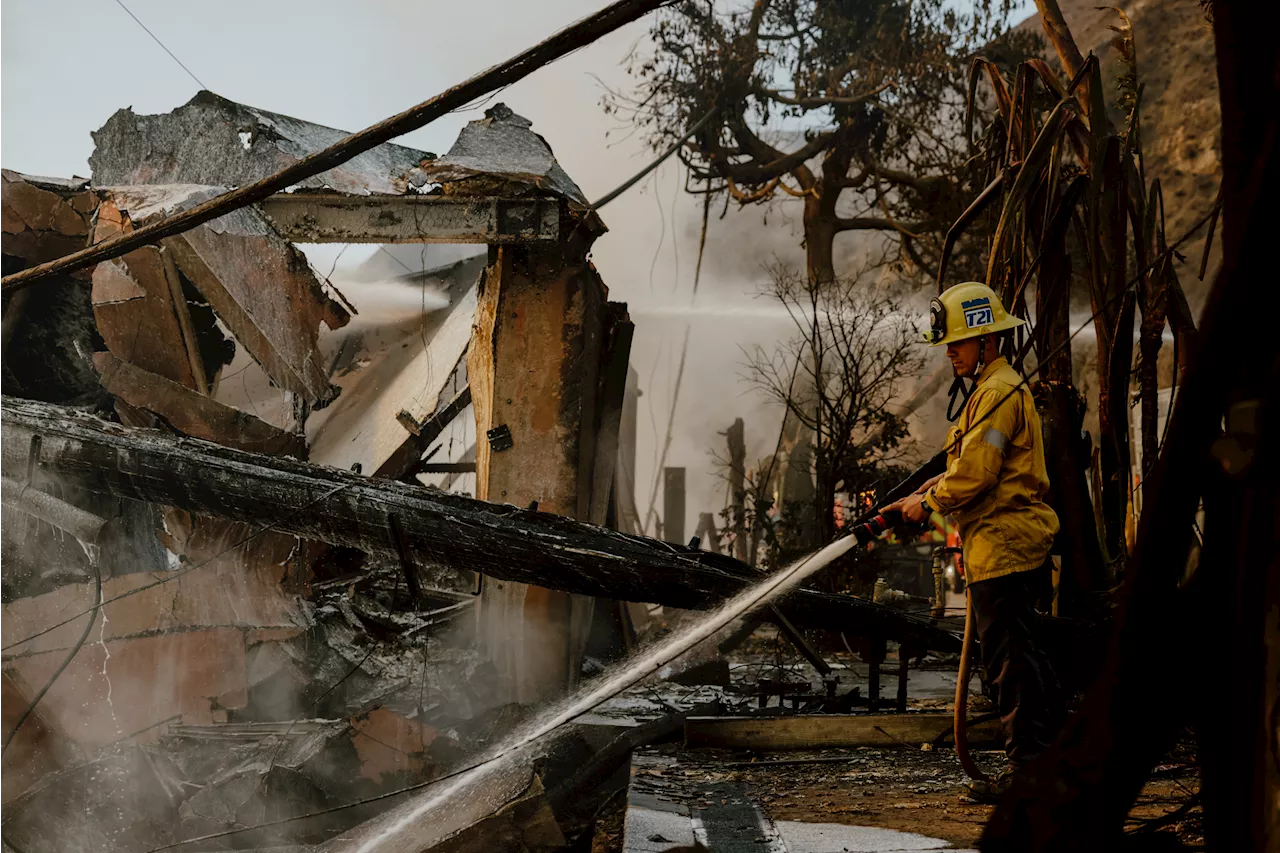 Who Was Rory Callum Sykes? Former Child Star Dead in Los Angeles Fires