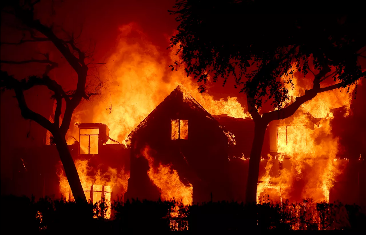 Woman Fights California Wildfires to Save Home After Insurance Cancelled