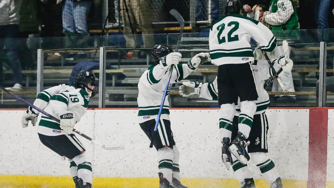 Boys hockey photos: St. Joseph (Met.) at Monroe, Friday, Jan. 10