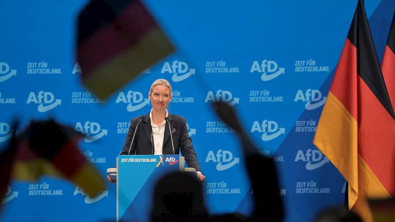 AfD-Parteitag in Riesa: Alice Weidels Rede war so radikal wie nie