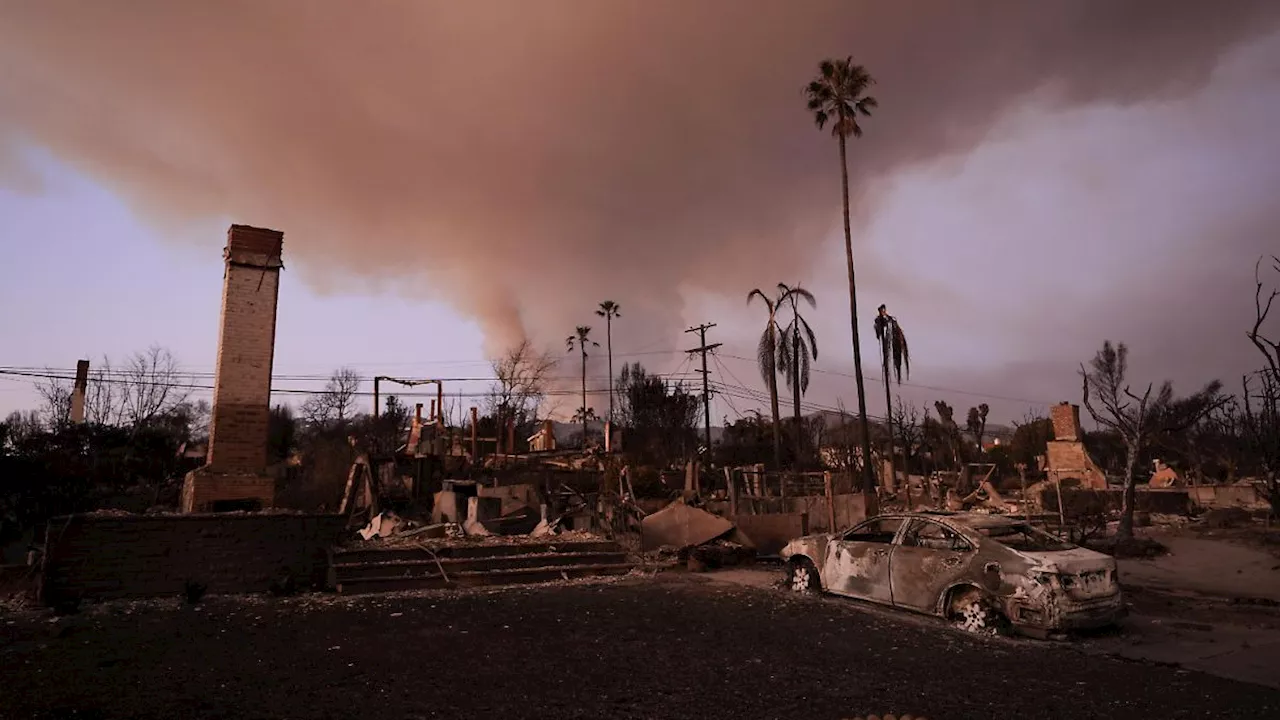 Brand-Opfer werfen Behörden in Los Angeles Versagen vor