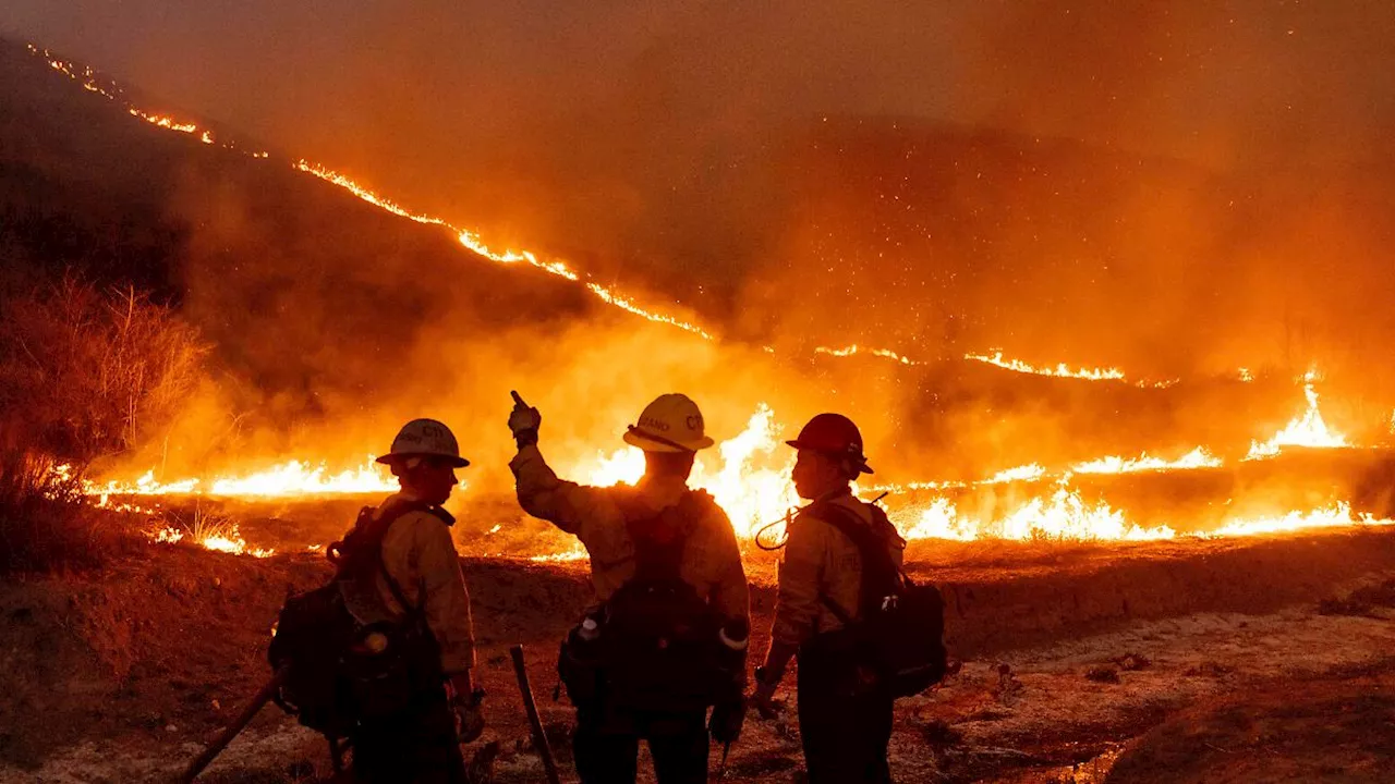 Waldbrände in Los Angeles: Mindestens elf Tote, Tausende Häuser zerstört