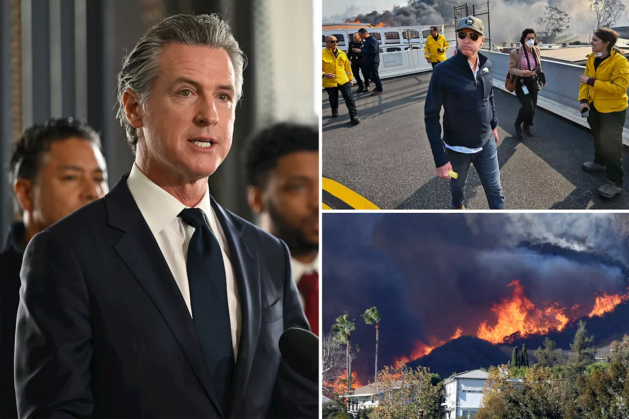 California Gov. Gavin Newsom cut $100M for fire prevention before deadly wildfires: report