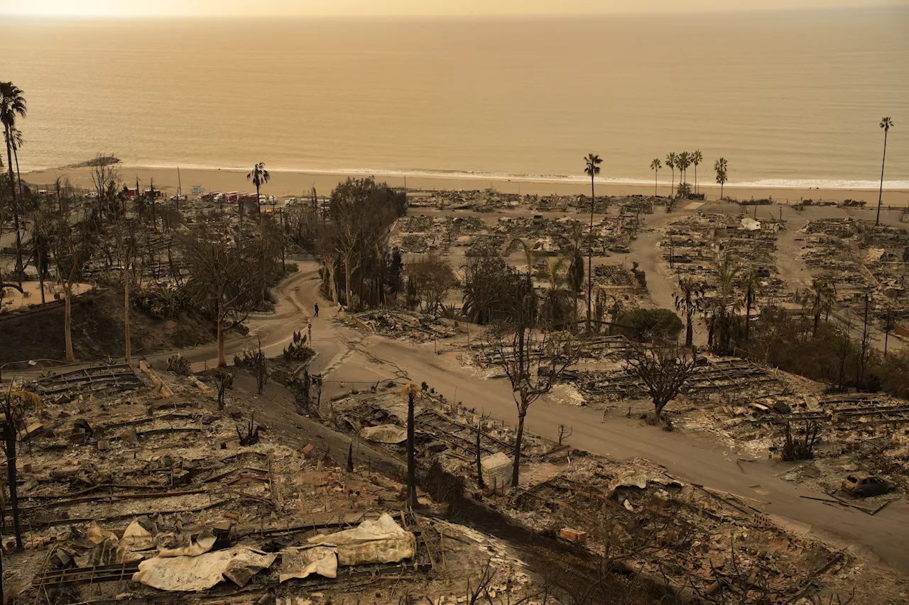 Catastrophic wildfires left LA in ashes due to California's failing liberal leadership