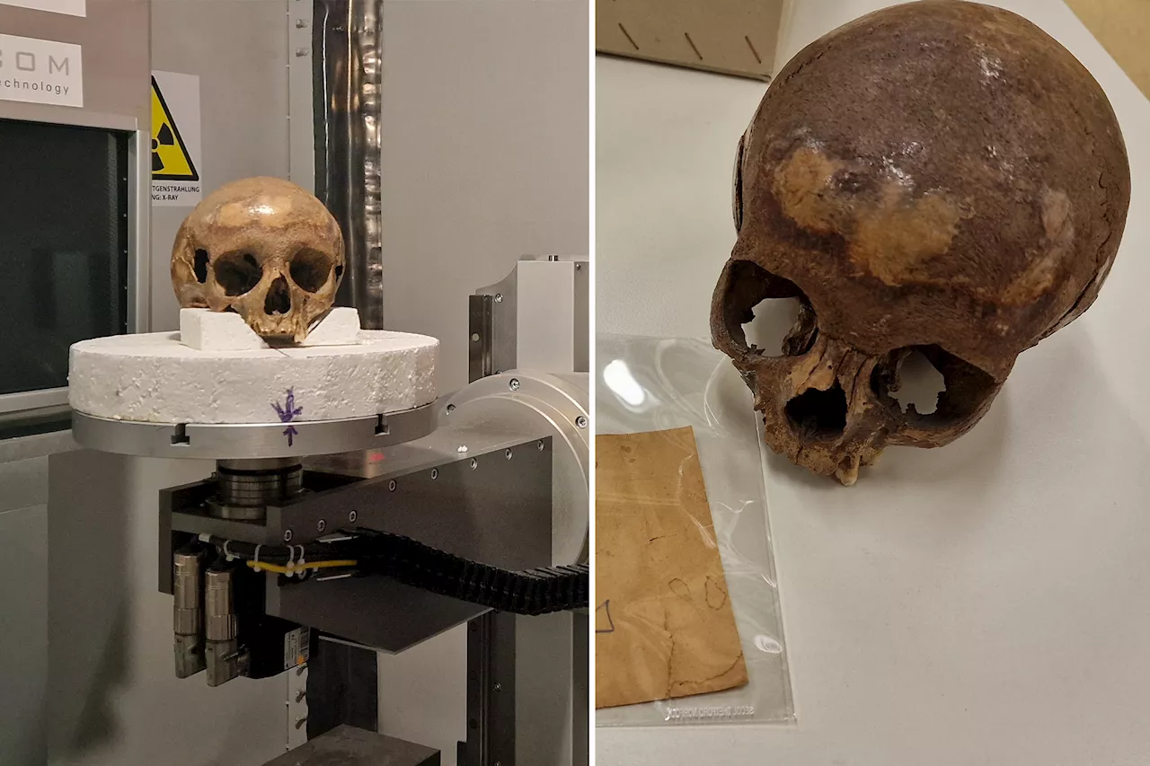 Near century-old mystery of skull thought to be Cleopatra's murdered sister solved