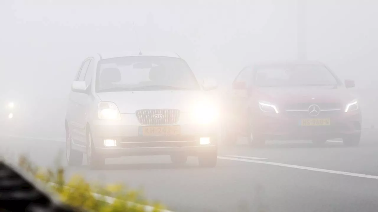 Weinig zicht door dichte mist: dit zijn de regels voor mistlampen