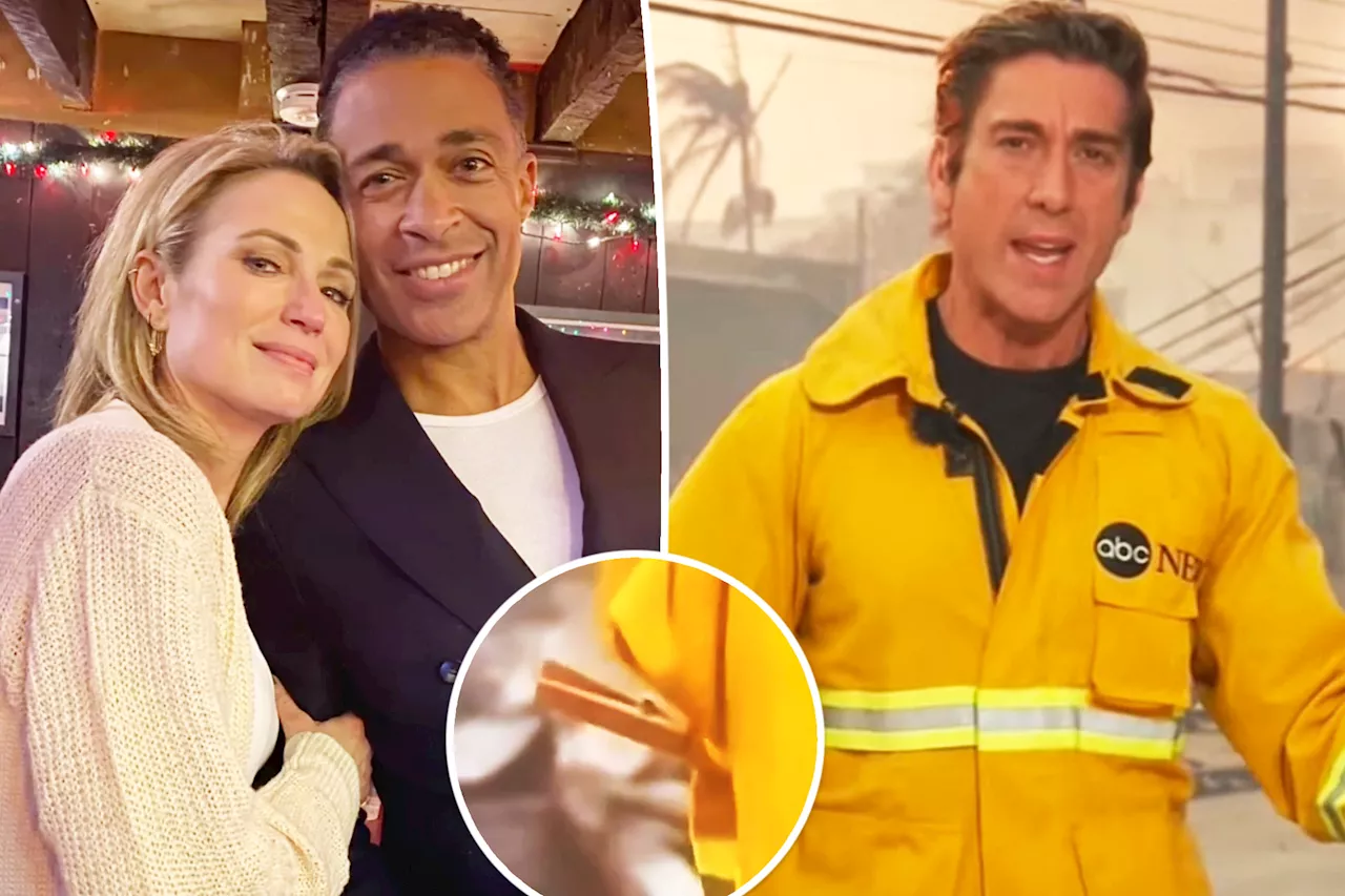 Amy Robach and TJ Holmes Defend David Muir After Wildfire Jacket Criticism