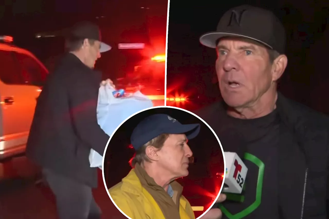 Fans Criticize NBC Reporter for Interrupting Dennis Quaid During Wildfire Evacuation