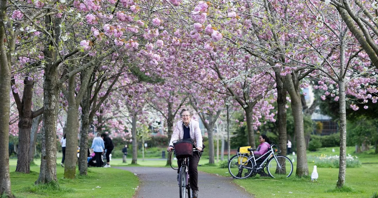 Ireland to Experience Warmer Temperatures and Mild Weather for the Rest of January