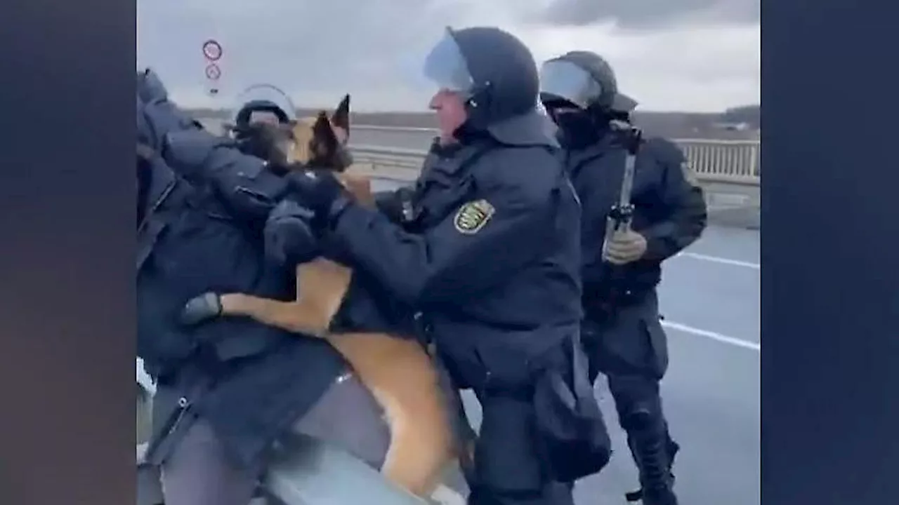 Video von AfD-Protesten in Riesa (Sachsen) sorgt für Empörung: Polizist hetzt Hund auf Demonstranten