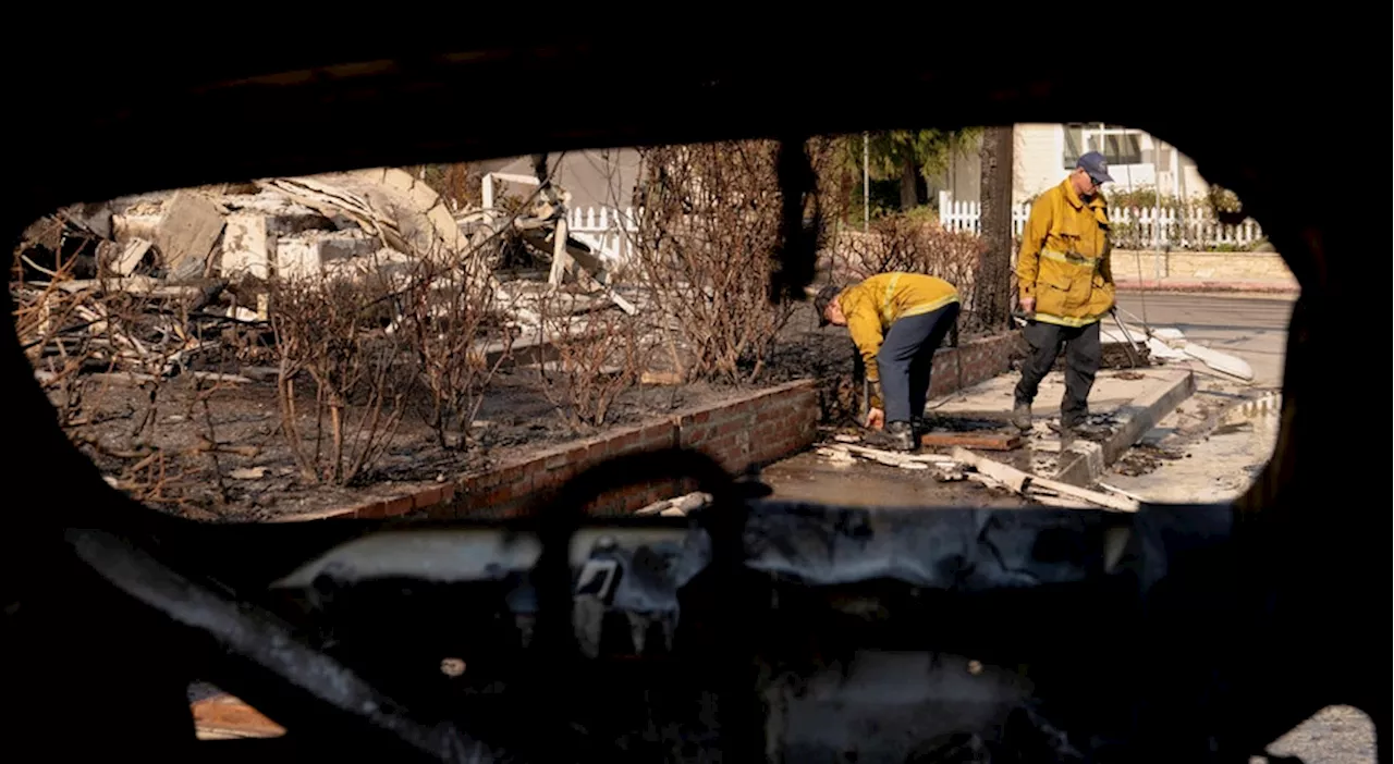 Novo balanço dos incêndios em Los Angeles aponta para pelo menos 11 mortos