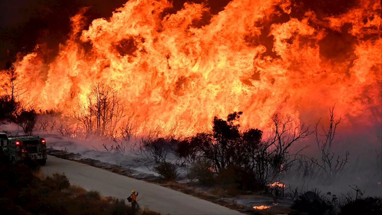 Los Angeles faces more wildfire evacuations even as fierce winds ease - SABC News