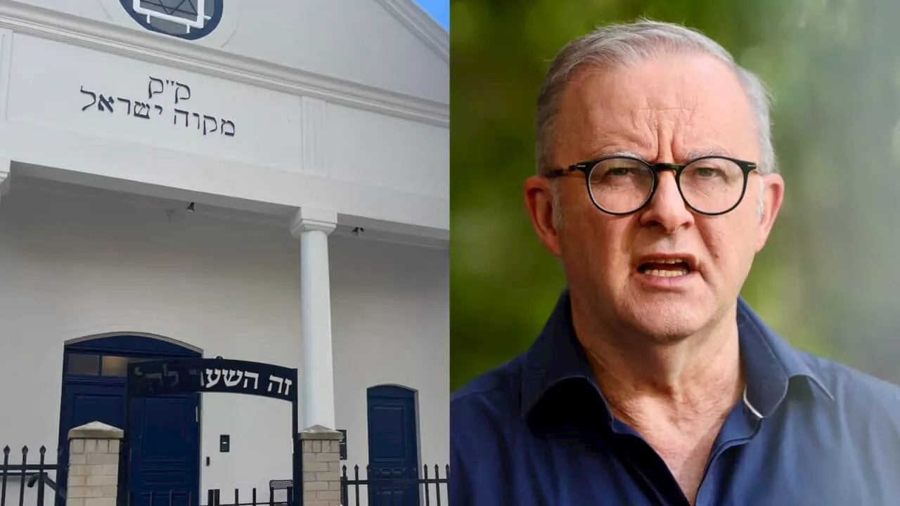 Albanese condemns 'vile' graffiti after second synagogue targeted with Nazi symbol