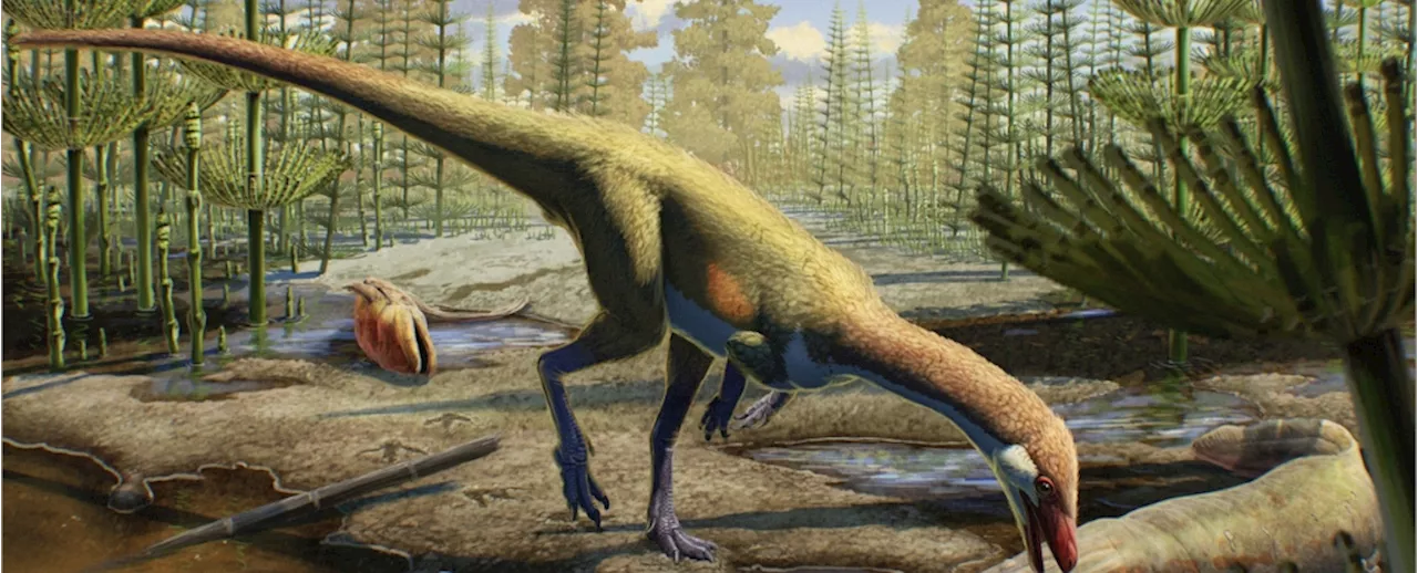 Early Dinosaur Fossil Found in North America Challenges Existing Theories