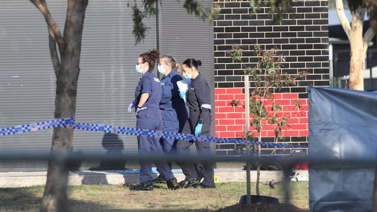 Four arrested after deadly stabbing at Melbourne park