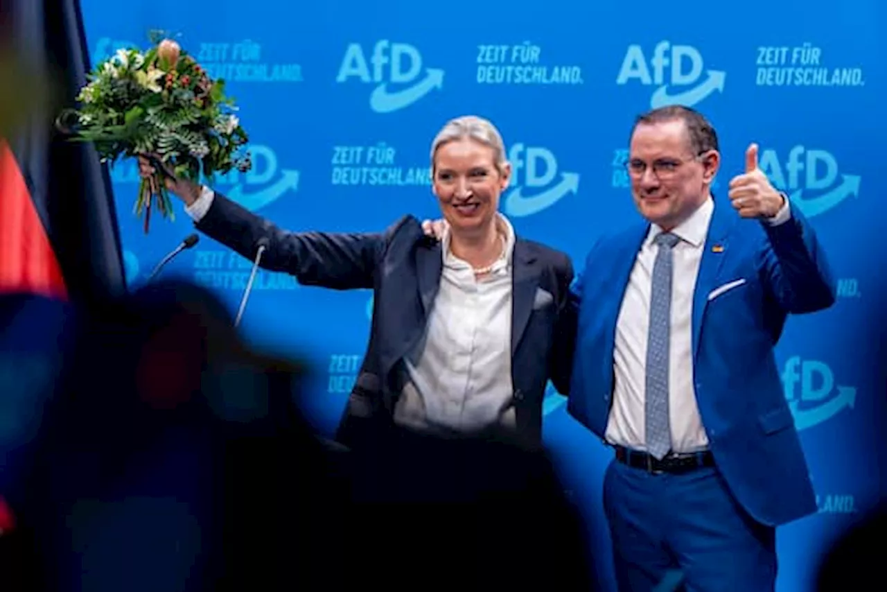 Germania, Alice Weidel eletta candidata cancelliera Afd: 'Frontiere blindate'