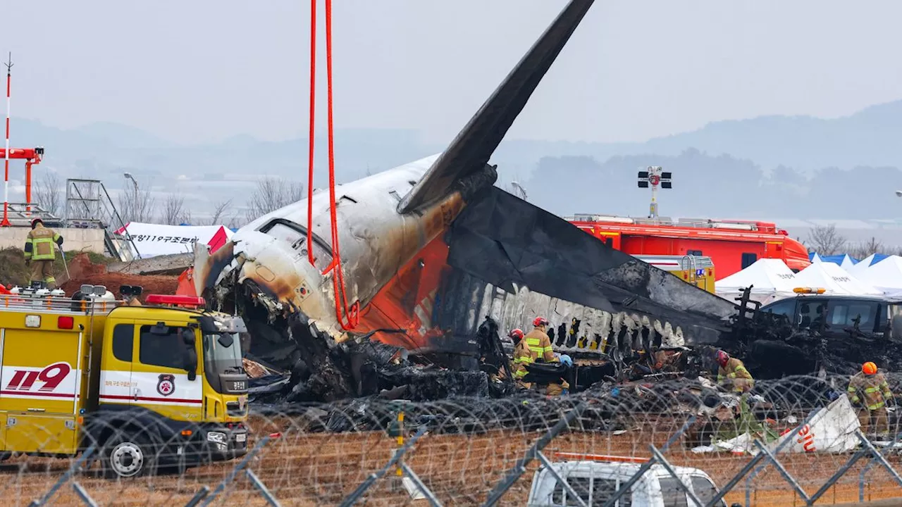 Flugzeugunglück in Südkorea: Black Boxes stoppten Aufzeichnung Minuten vor dem Crash