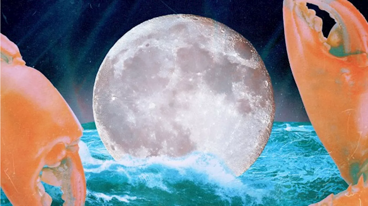 January's Full Moon in Cancer Will Crank Up the Chaos for Each Zodiac Sign