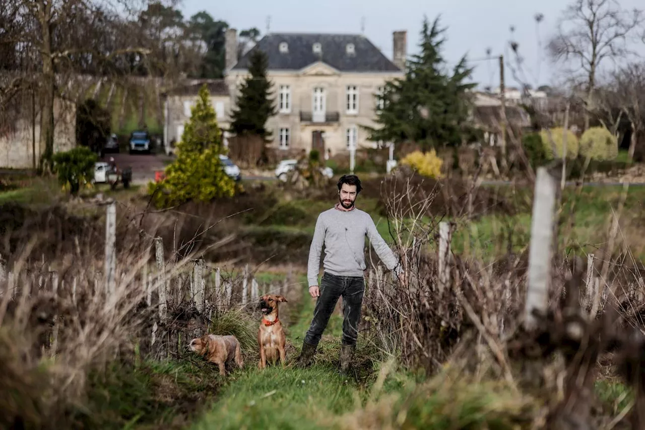 Joachim Haas : la qualité finira par payer en Côtes de Bourg