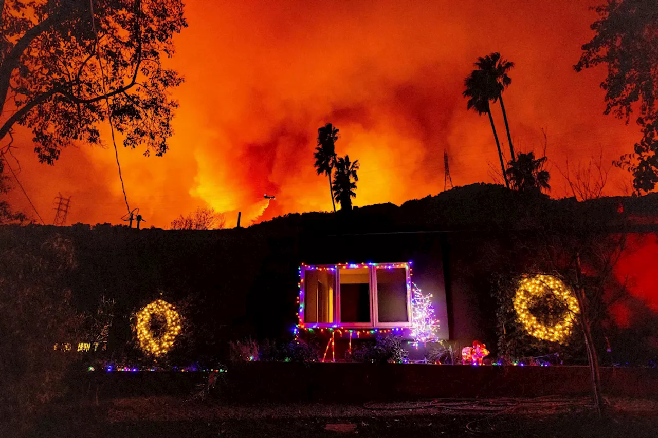 Feuer in Los Angeles: Zahl der Toten steigt auf elf - 12000 Gebäude beschädigt