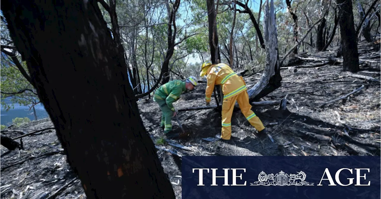 Halls Gap Reopens After Devastating Bushfire