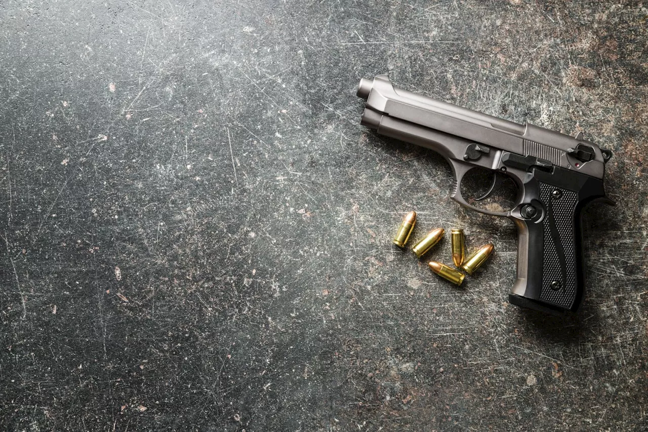 8 people killed in Mpumalanga tavern shooting