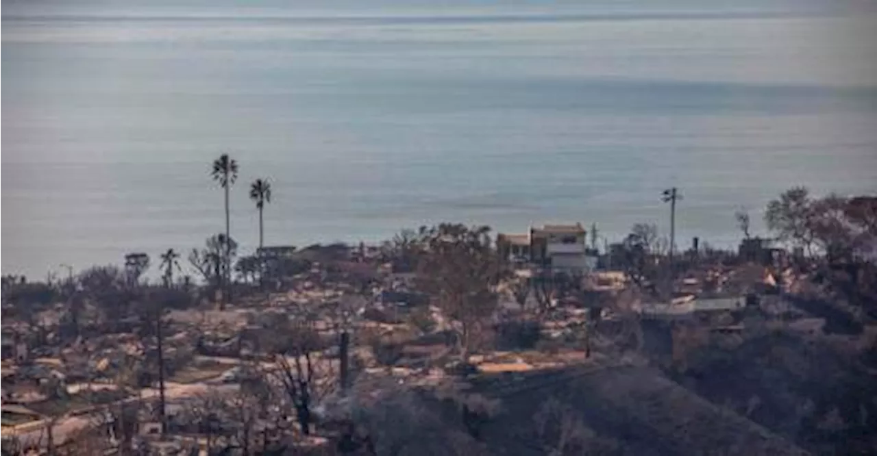 California Wildfires Death Toll Rises to 11 as Officials Face Criticism