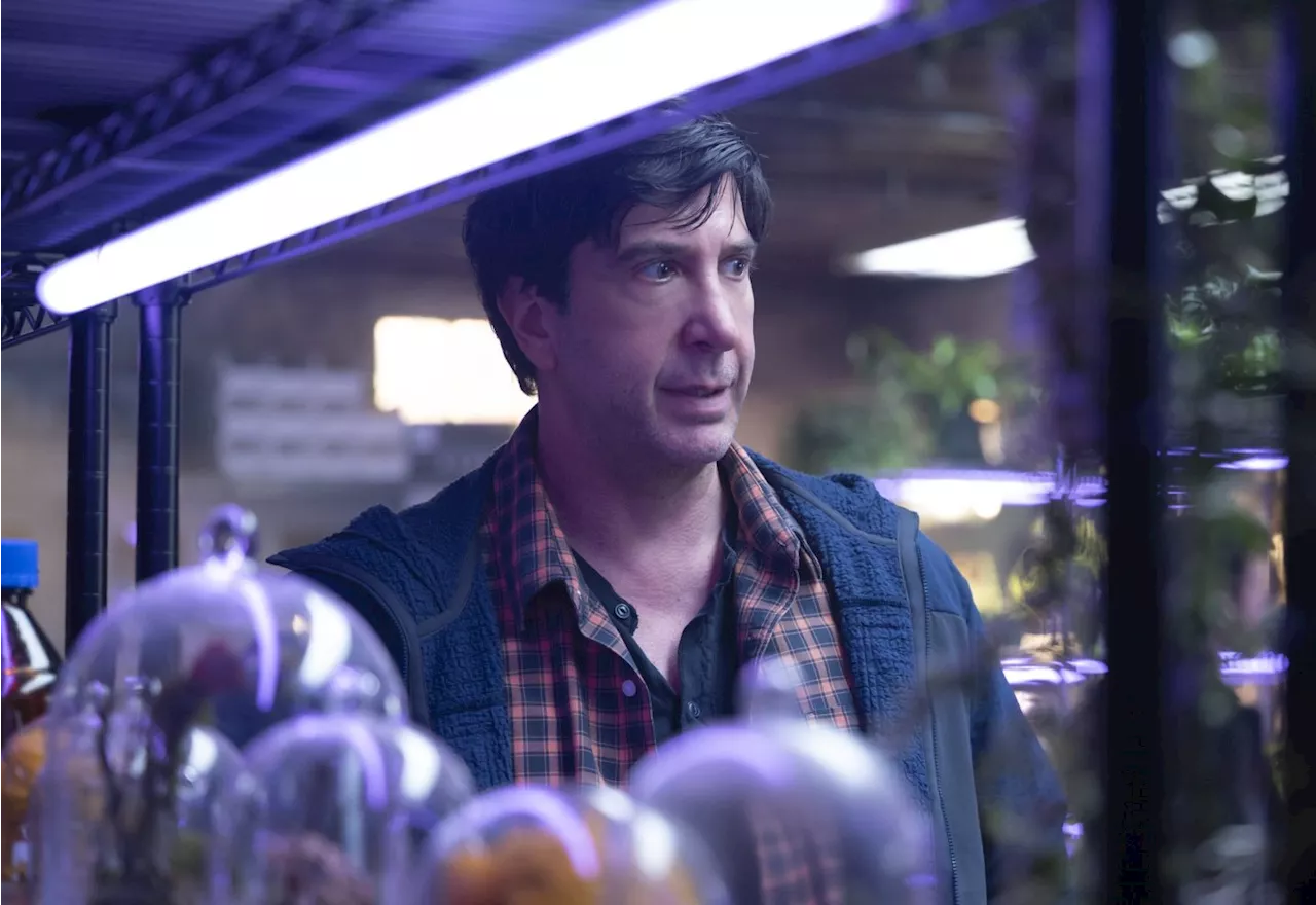 Goosebumps Season 2 Switches to Anthology Format, Stars David Schwimmer