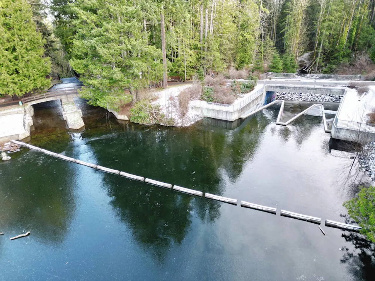 Vandals cut cable for safety boom in Nanaimo's Colliery Dam Park