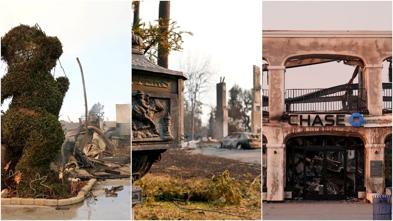 Incendios en Los Ángeles causan devastación histórica