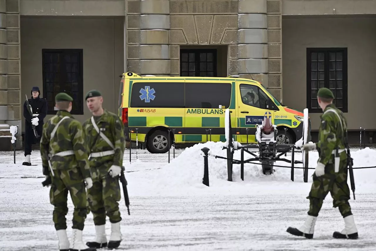 Vakt ved det svenske slottet spiddet av egen bajonett