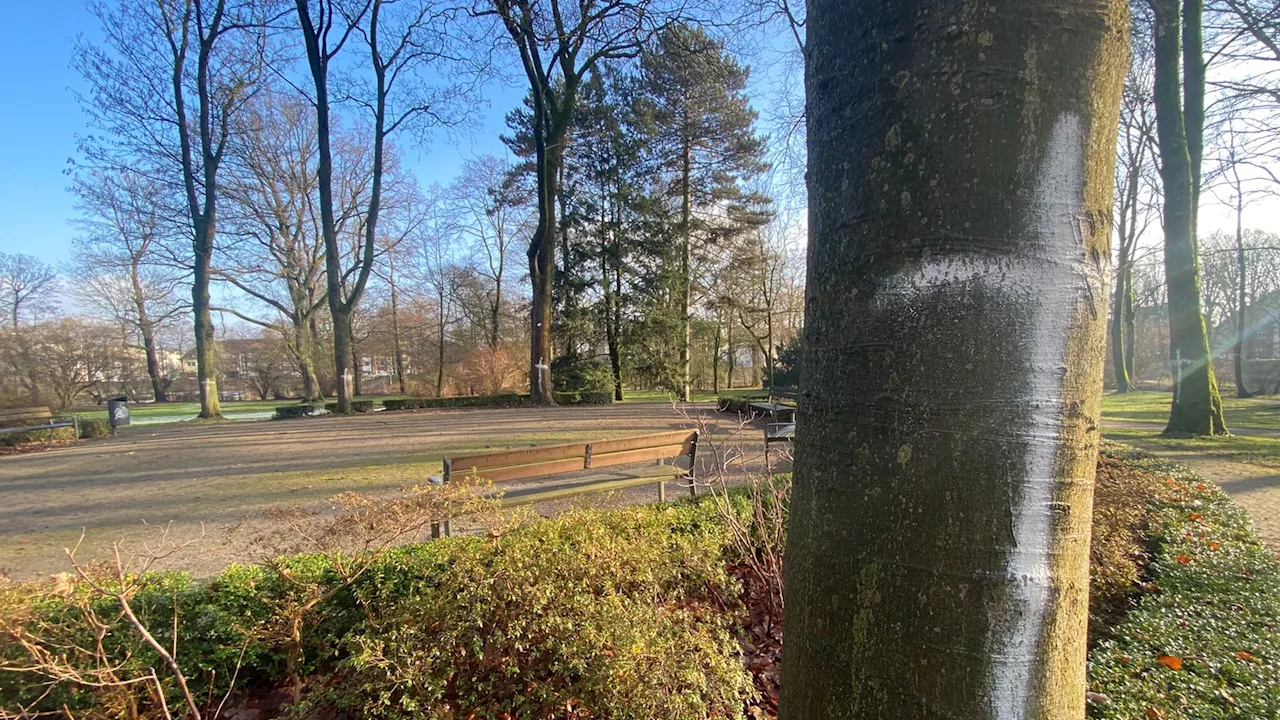 Kompromiss statt Kahlschlag im Moerser Schlosspark