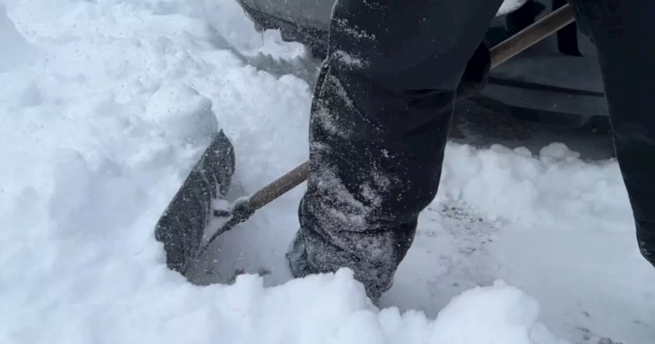 Bloomington Snow Buddies program helps elderly, disabled neighbors shovel sidewalks