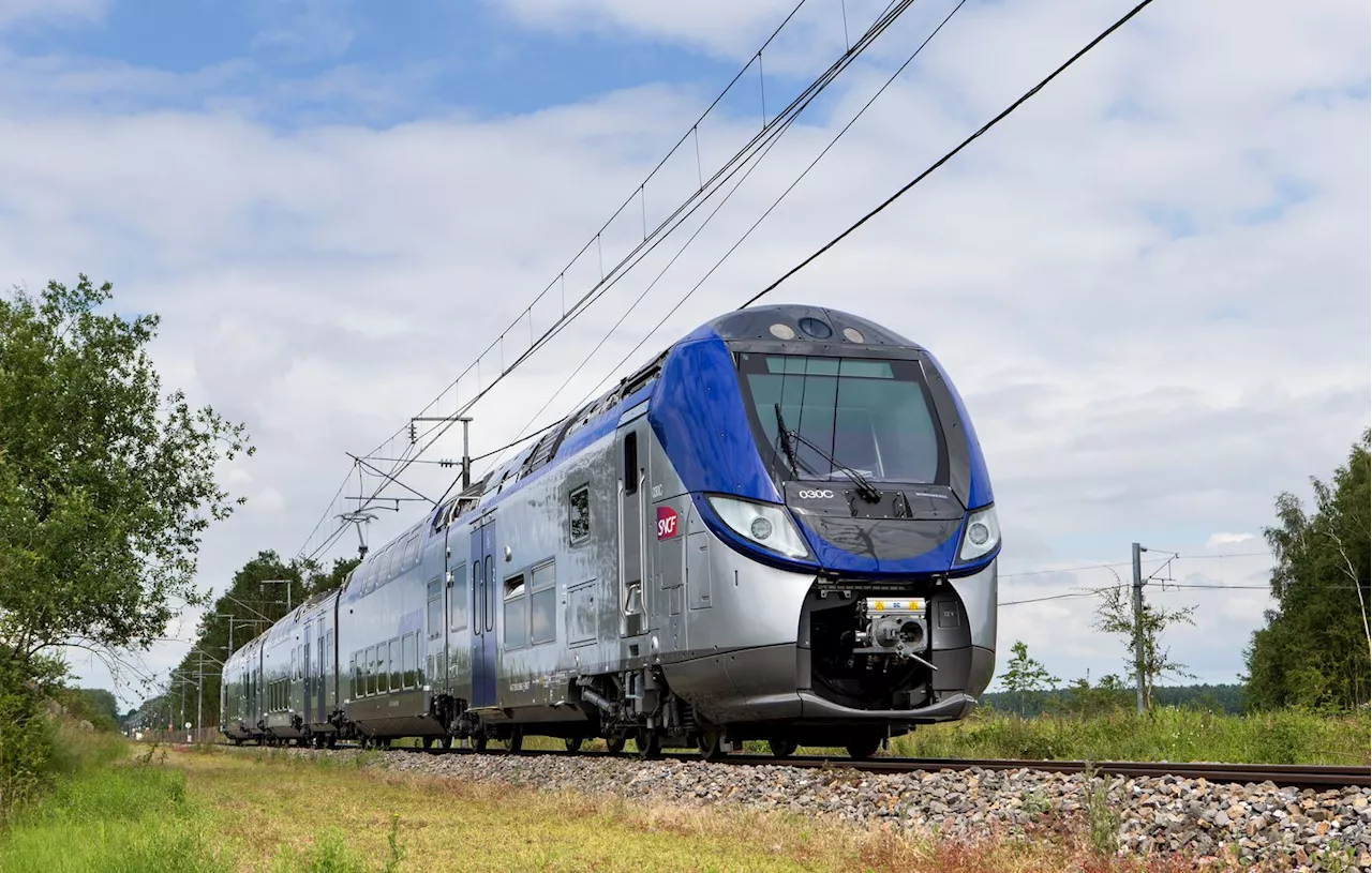 Isère : Un contrôleur SNCF aide une jeune femme à accoucher dans un TER