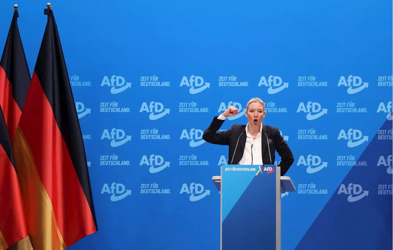 Allemagne : L'extrême droite proche du pouvoir en Autriche, une aubaine pour l'AfD