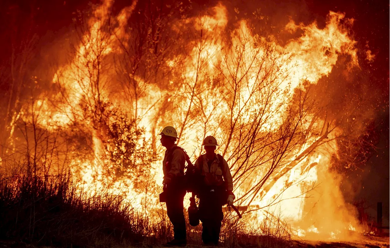 Des Incendies Dévastateurs Ravagent Los Angeles