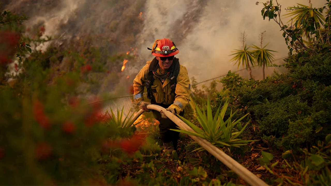 LA Fire Chief Says City Failed Fire Department Amidst Wildfires