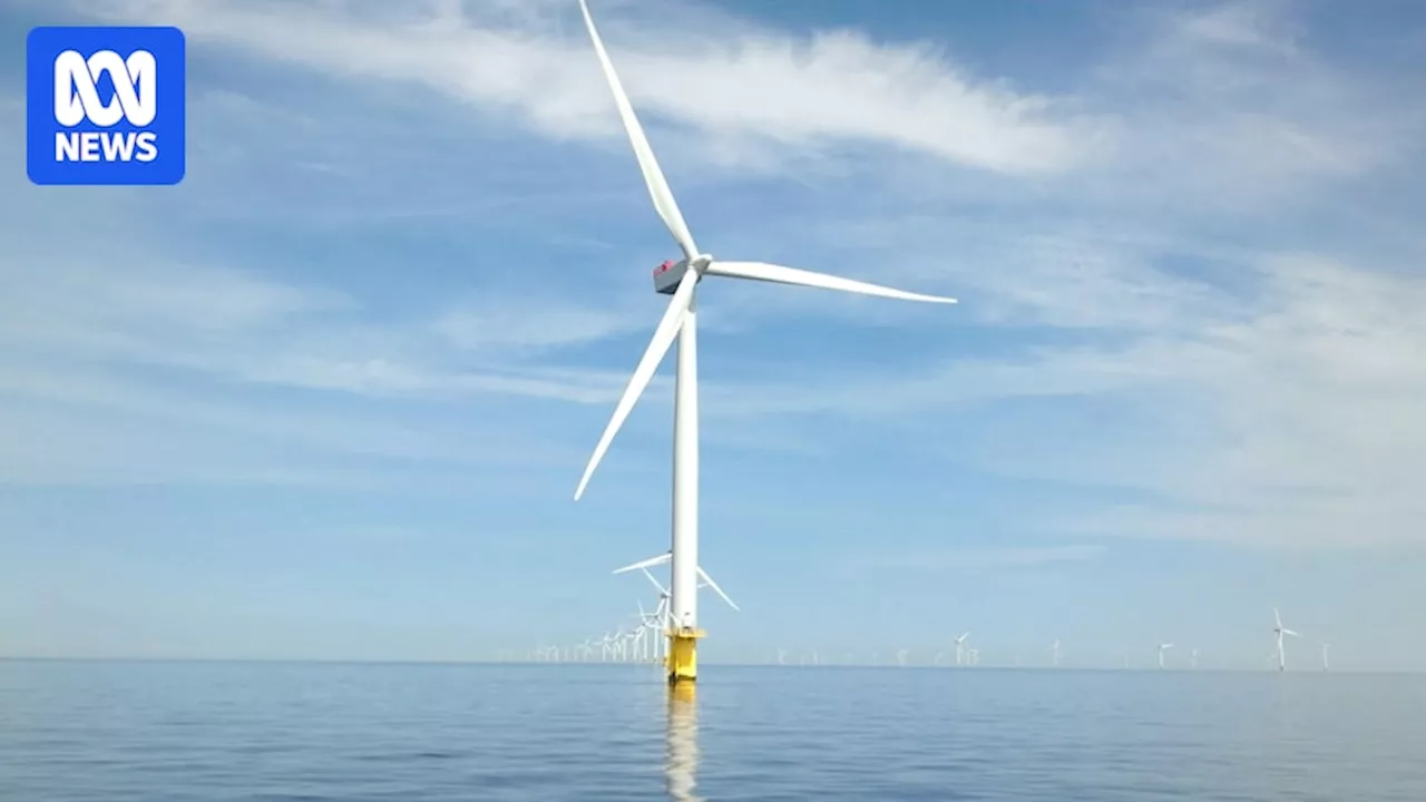 South Australia Scraps Offshore Wind Projects Amidst Local Opposition