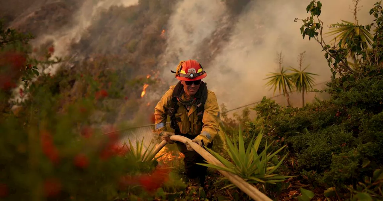 Wildfires Rage in Los Angeles, Killing 16 and Leaving 16 Missing