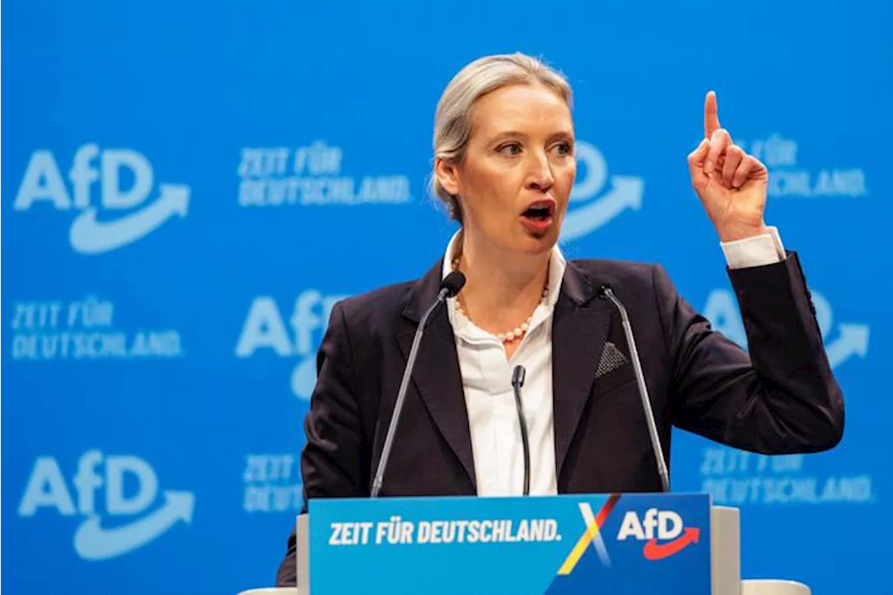 Chi è Alice Weidel, la leader dell'ultradestra tedesca che spaventa l'Europa