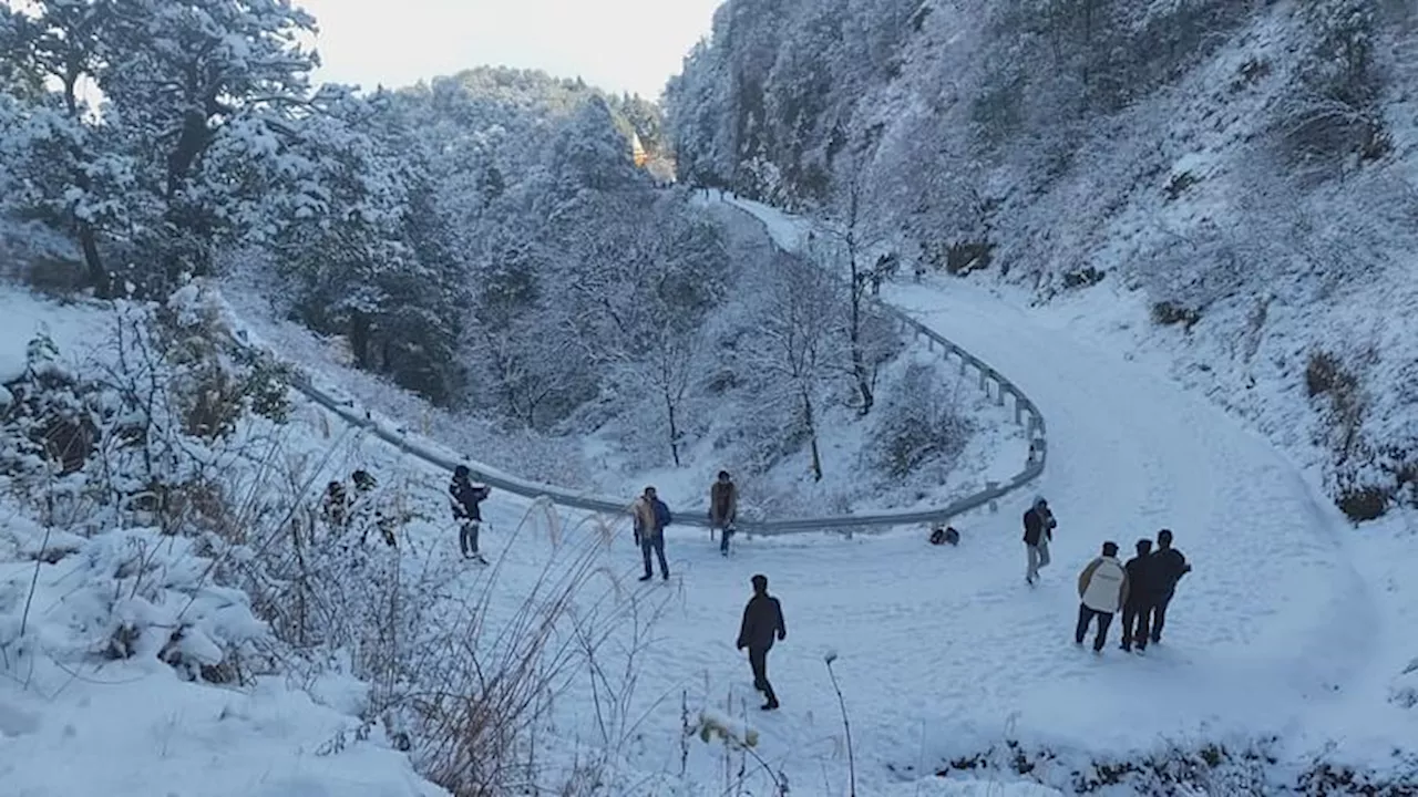 कुमाऊं में बर्फबारी, सैलानियों का उत्सव