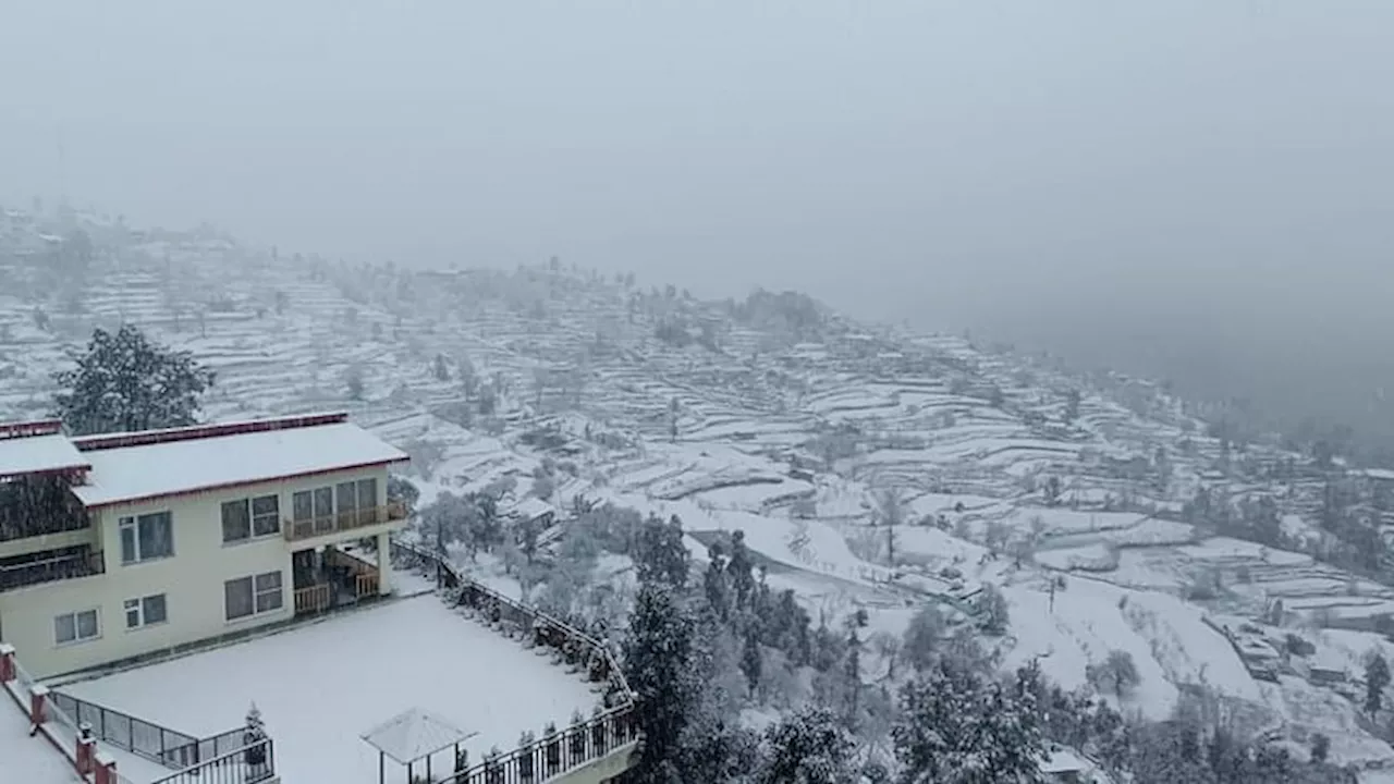 Snowfall: मसूरी से लेकर औली, चकराता और नैनीताल में बर्फबारी, सफेद हुईं खूबसूरत वादियां, देखें तस्वीरें