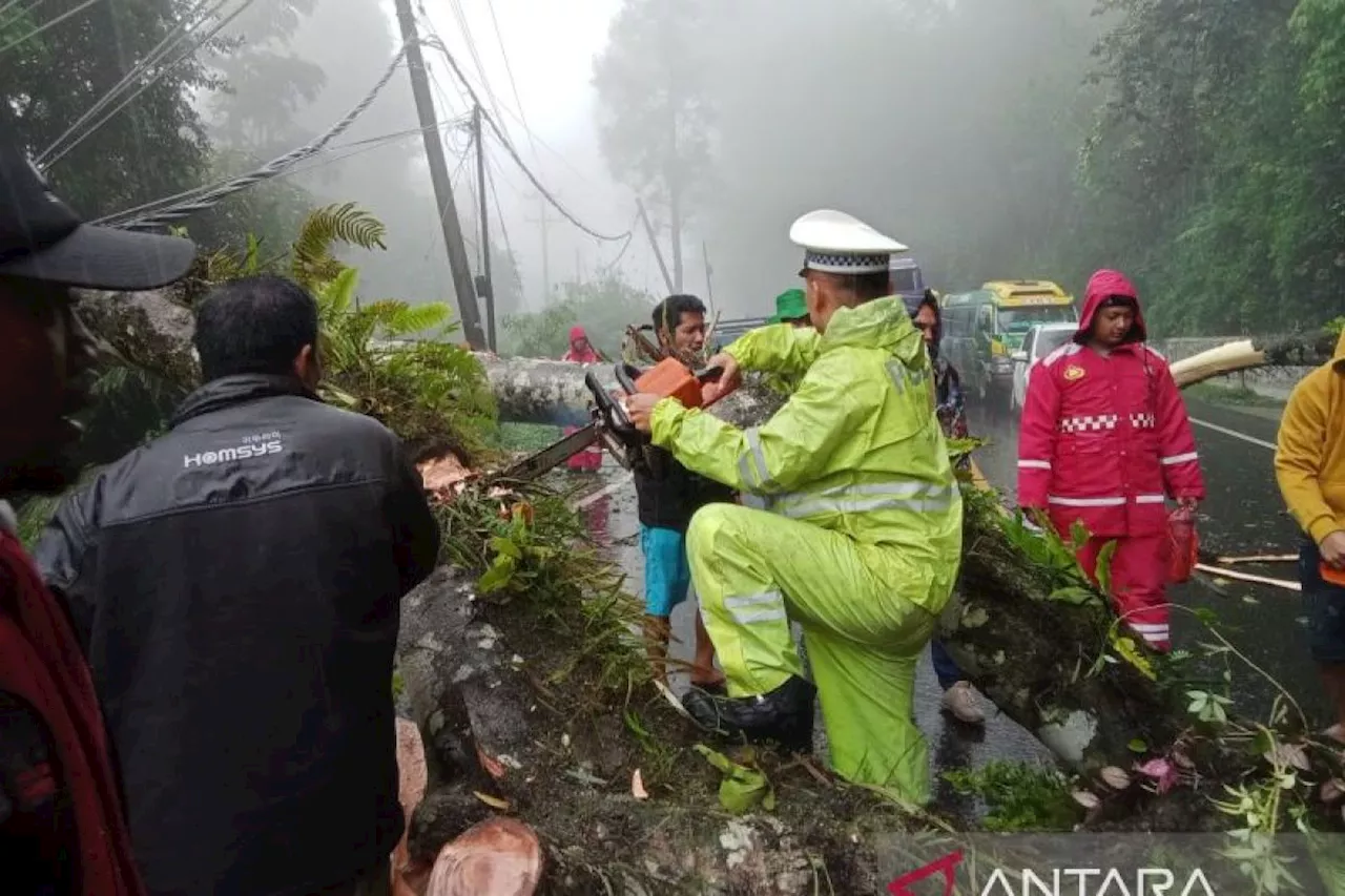 TNI-Polri evakuasi pohon tumbang di jalur Medan-Berastagi