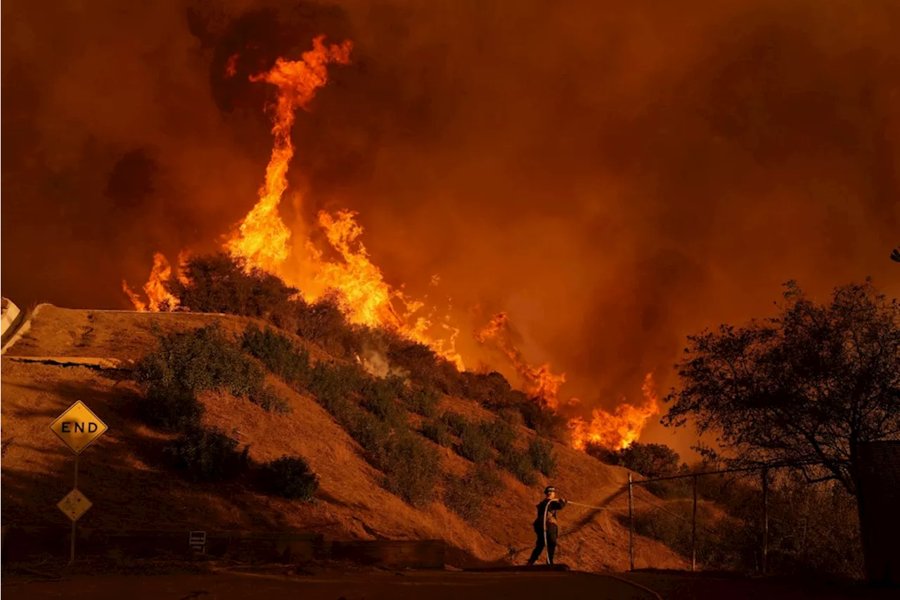 Waldbrände in Los Angeles: Zahl der Todesopfer steigt, Tausende fordern Rücktritt der Bürgermeisterin