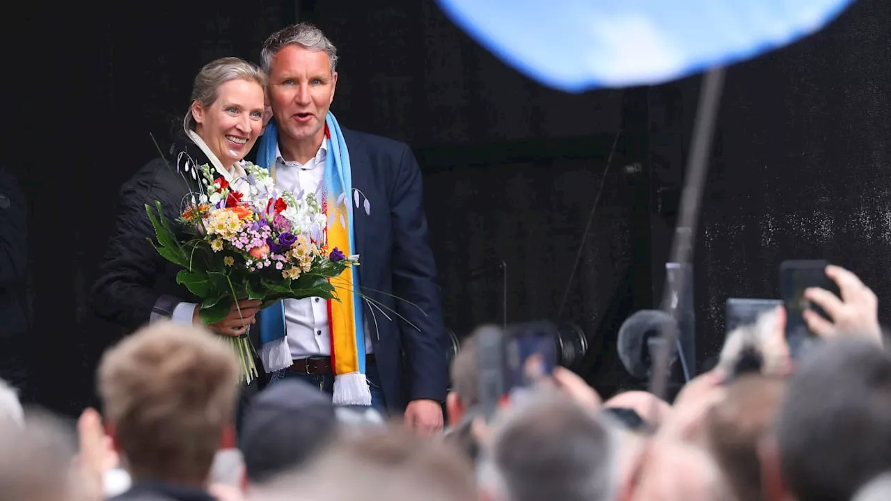 Trotz oder wegen Höcke? Warum die AfD gerade so erfolgreich ist