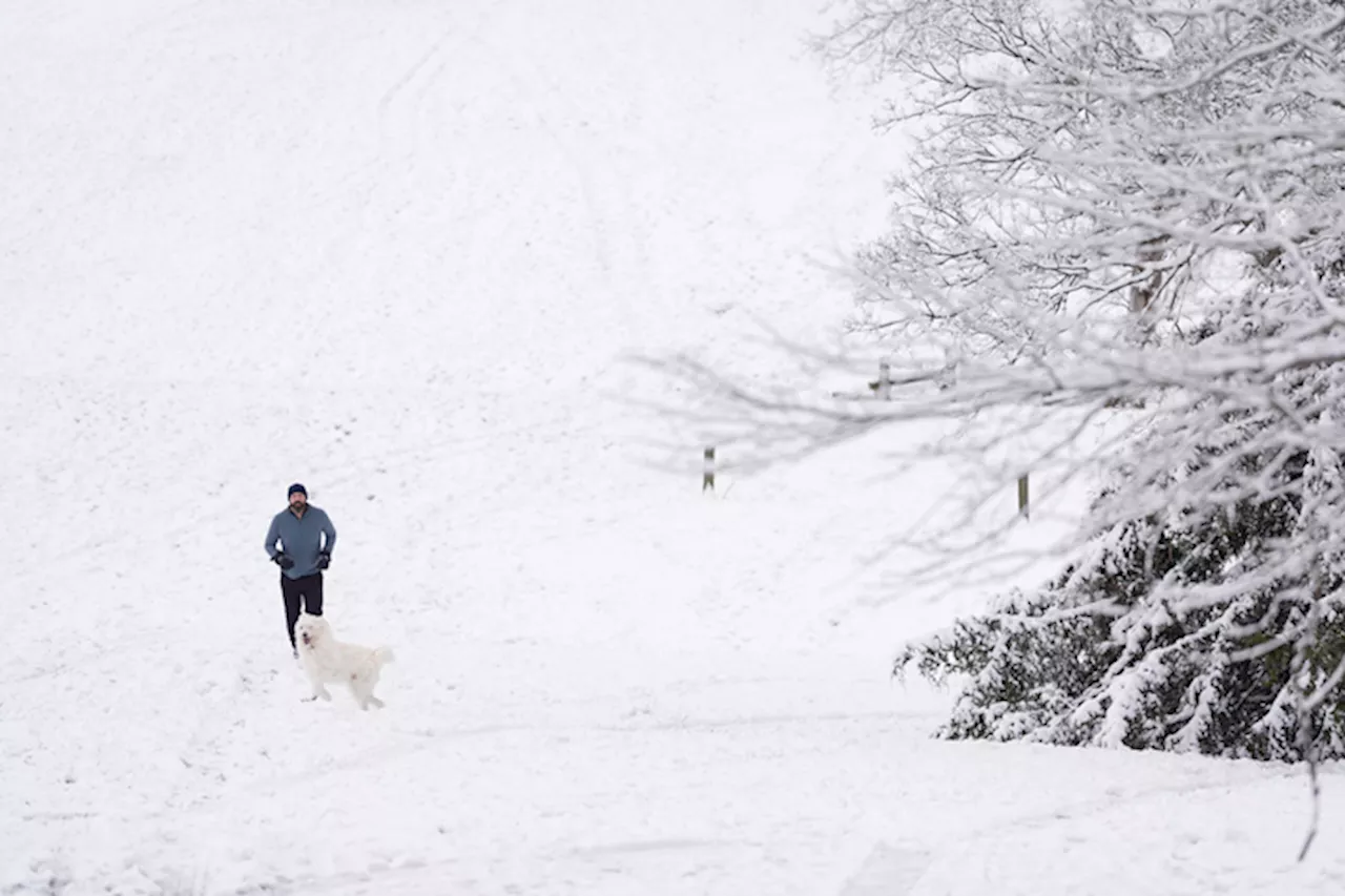 Winter storm wreaks havoc in US South: Flights canceled, roads remain dangerous | BusinessMirror and Jeff Amy & Ben Finley / The Associated Press