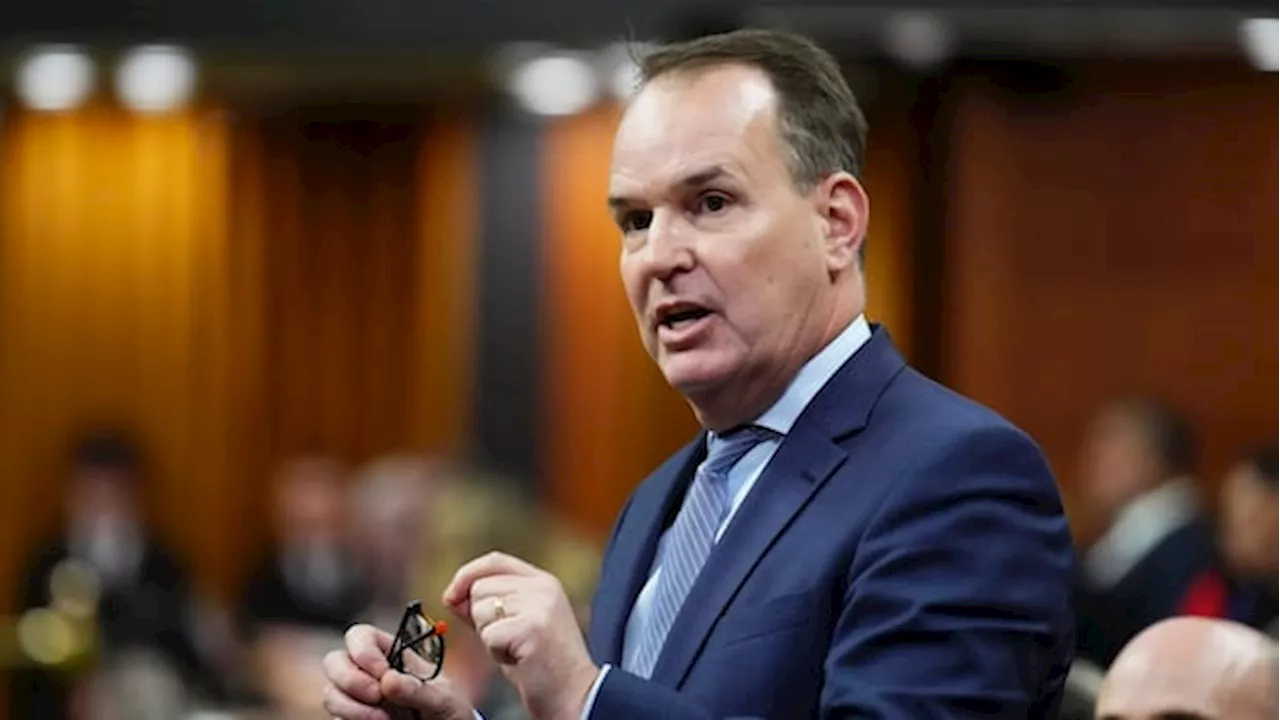 Labour Minister Steven MacKinnon says he won't run in the Liberals' leadership race