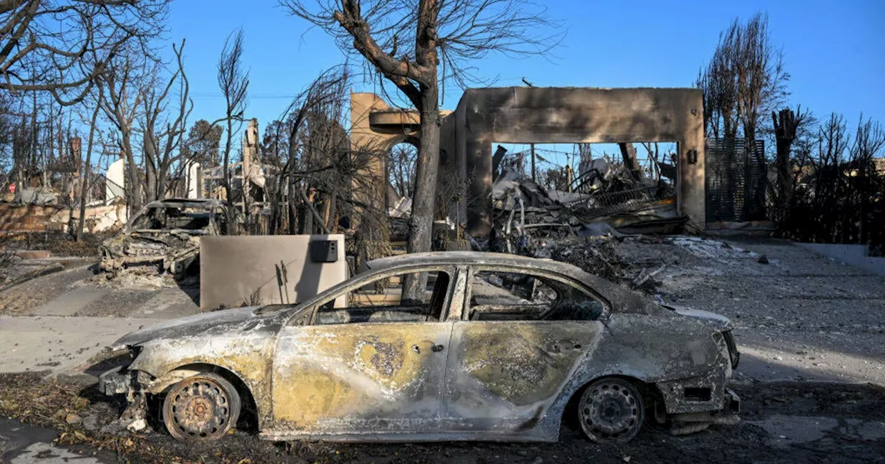 Los Angeles County libraries host FEMA staff to assist those impacted by wildfires