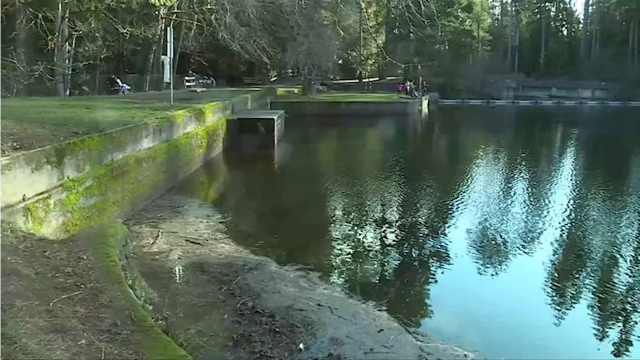 Colliery Dam Park user asks Nanaimo not to re-install safety booms, City says no