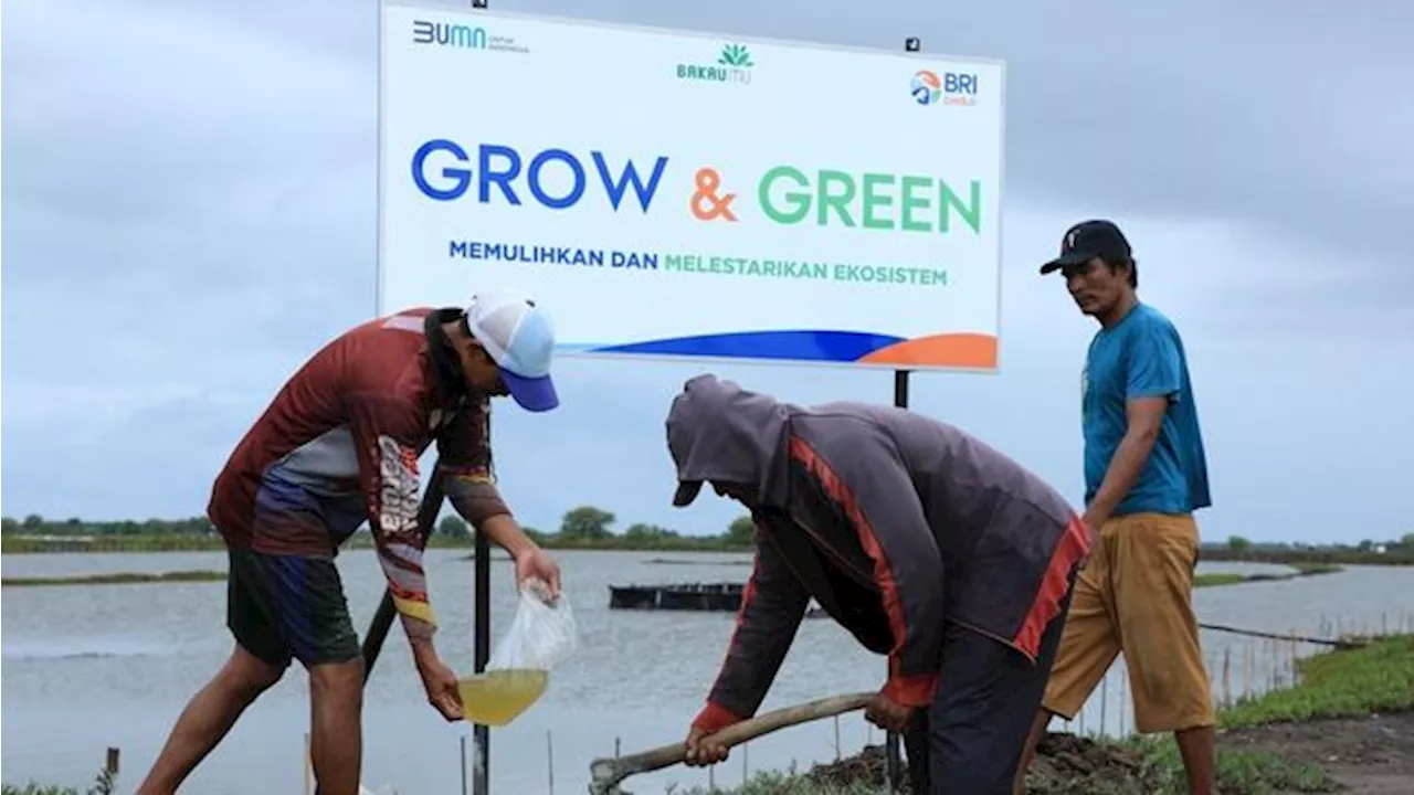 BRI Menanam Bantu Atasi Perubahan Iklim dan Tingkatkan Ekonomi